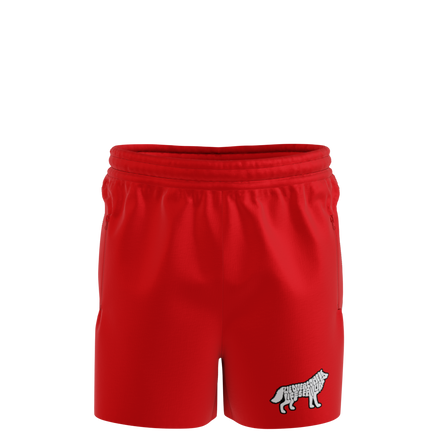 Windbreaker Shorts - UNISEX